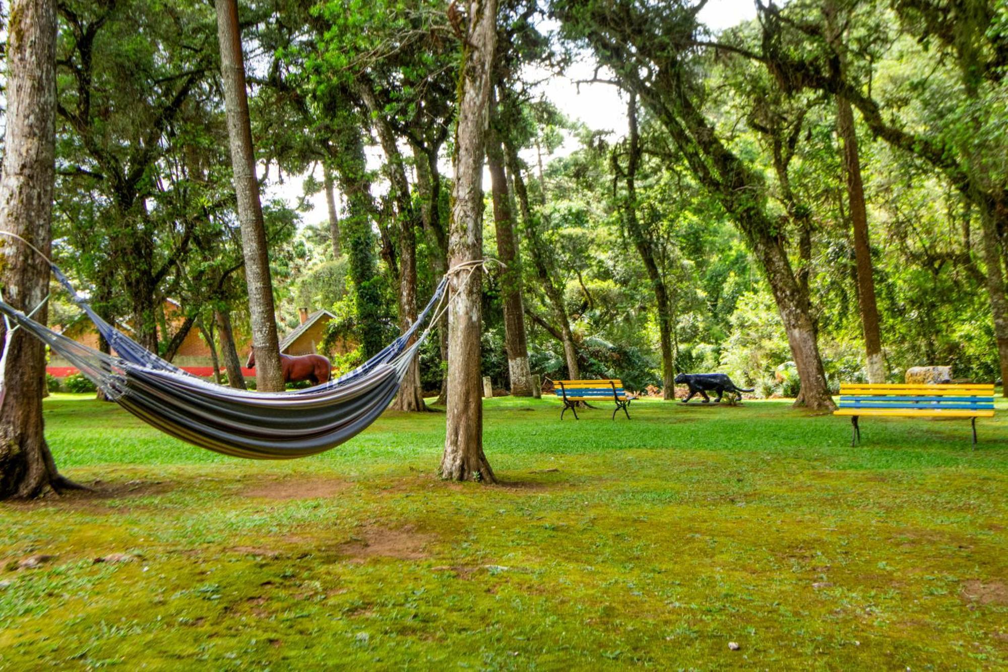 Velinn Austria Hotel Monte Verde Monteverde Extérieur photo